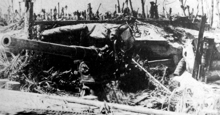 76.2-mm naval guns in coast defense positions captured by the Marines at Tarawa